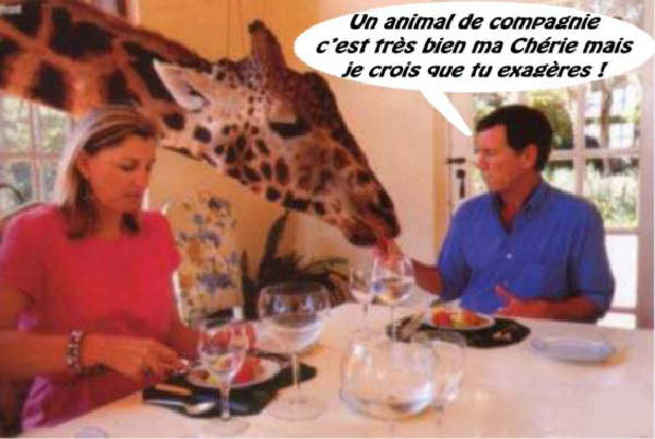 animaux 0001-humourenvrac